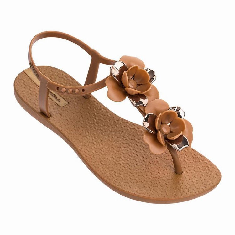 Sandales Ipanema Floret Marron Doré Femme | UYQ-3417252