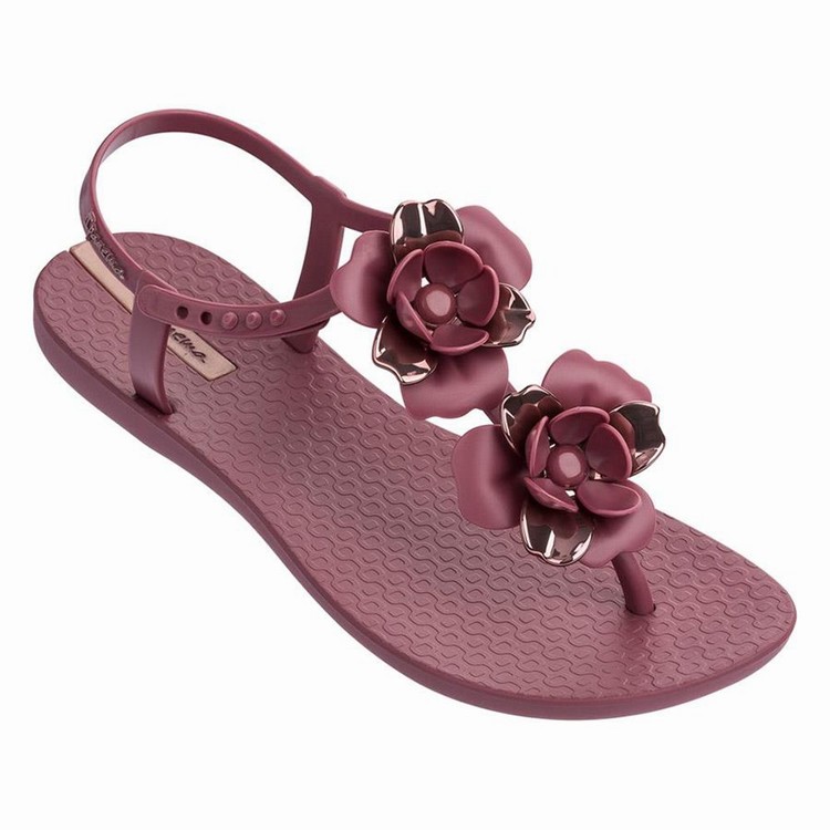 Sandales Ipanema Floret Bordeaux Femme | MYW-4873510