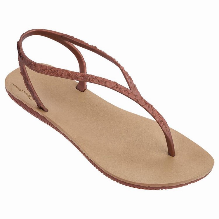 Sandales Ipanema Jo Beige Marron Femme | MTN-4547332