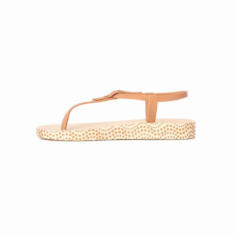 Sandales Ipanema Plush Dots Beige Marron Femme | RZU-3931935