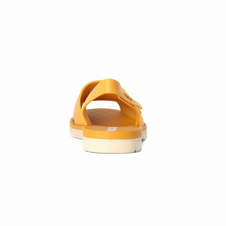 Sandales Ipanema Barcelona Jaune Beige Femme | LPU-6404897