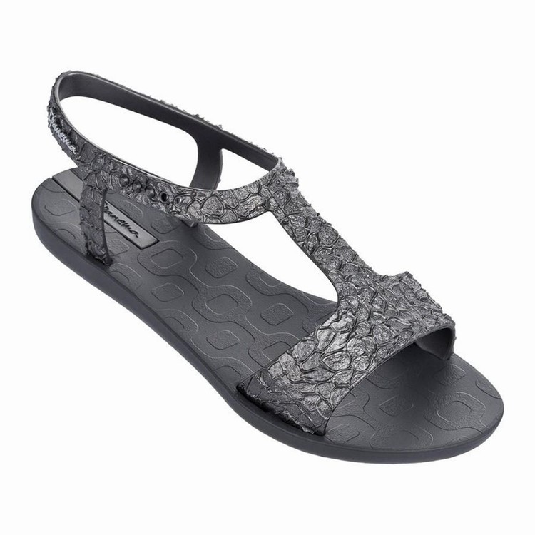 Sandales Ipanema Venus Grise Argent Femme | BBA-9670581