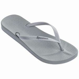 Tongs Ipanema Ana Colors Grise Femme | XSP-1224420