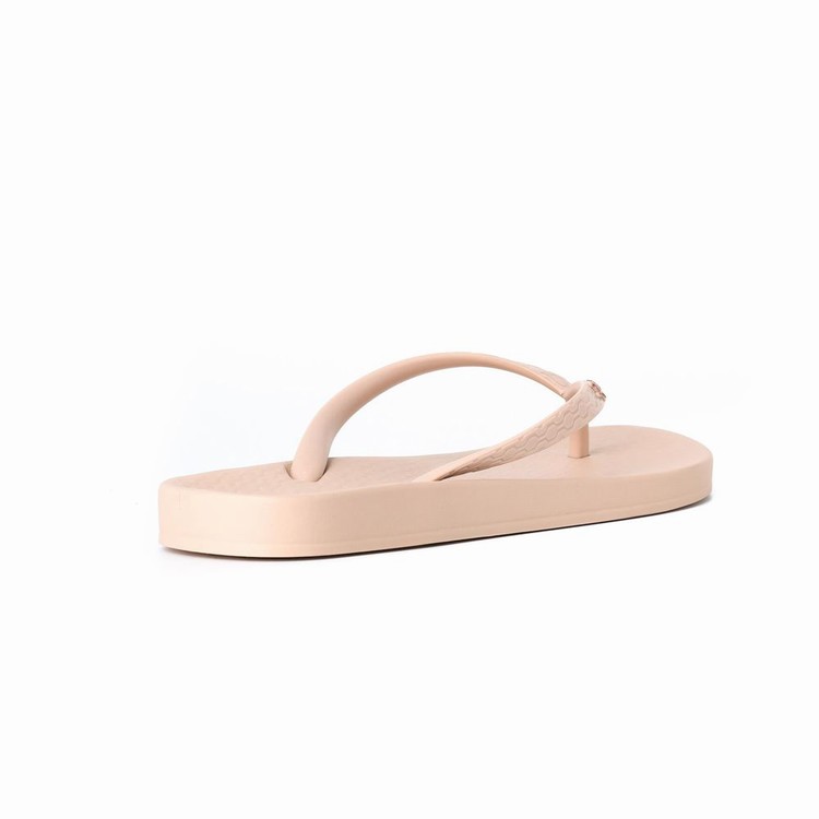 Tongs Ipanema Ana Colors Beige Femme | FCI-1704918