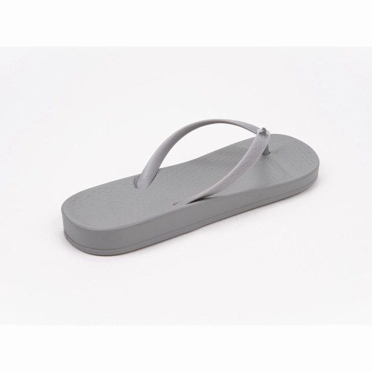 Tongs Ipanema Ana Colors Grise Femme | XSP-1224420