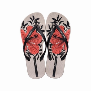 Tongs Ipanema Ana Hibiscus Beige Noir Orange Femme | RAN-0648782