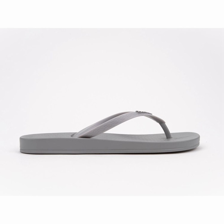 Tongs Ipanema Ana Colors Grise Femme | XSP-1224420