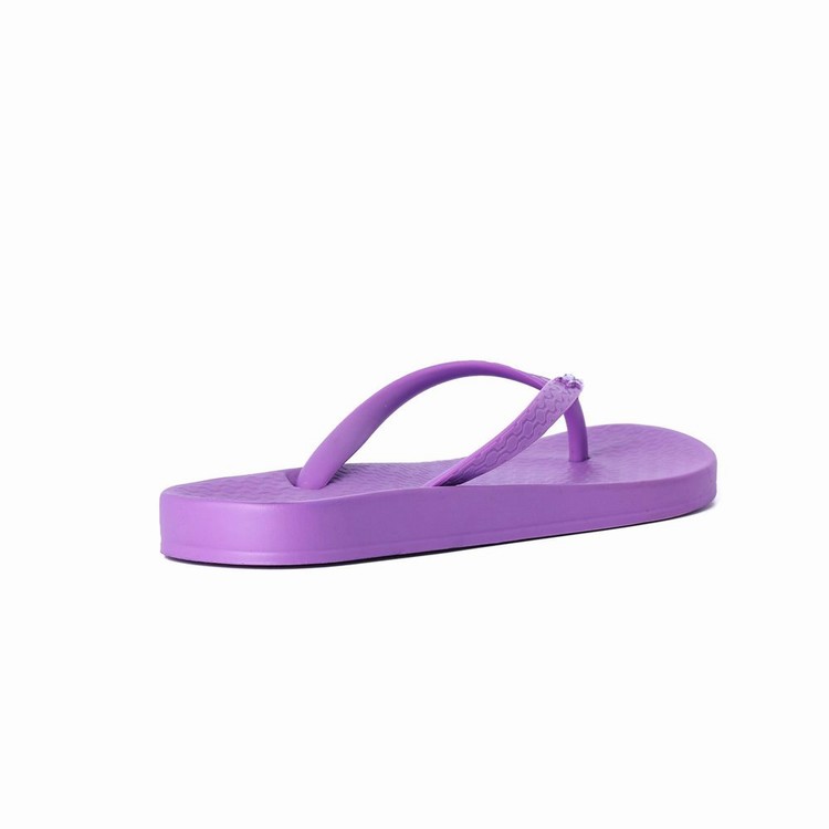 Tongs Ipanema Ana Colors Violette Femme | IGA-0916700