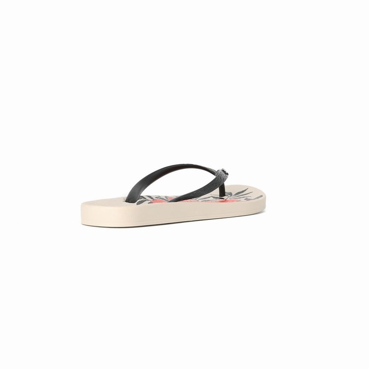 Tongs Ipanema Ana Hibiscus Beige Noir Orange Femme | RAN-0648782