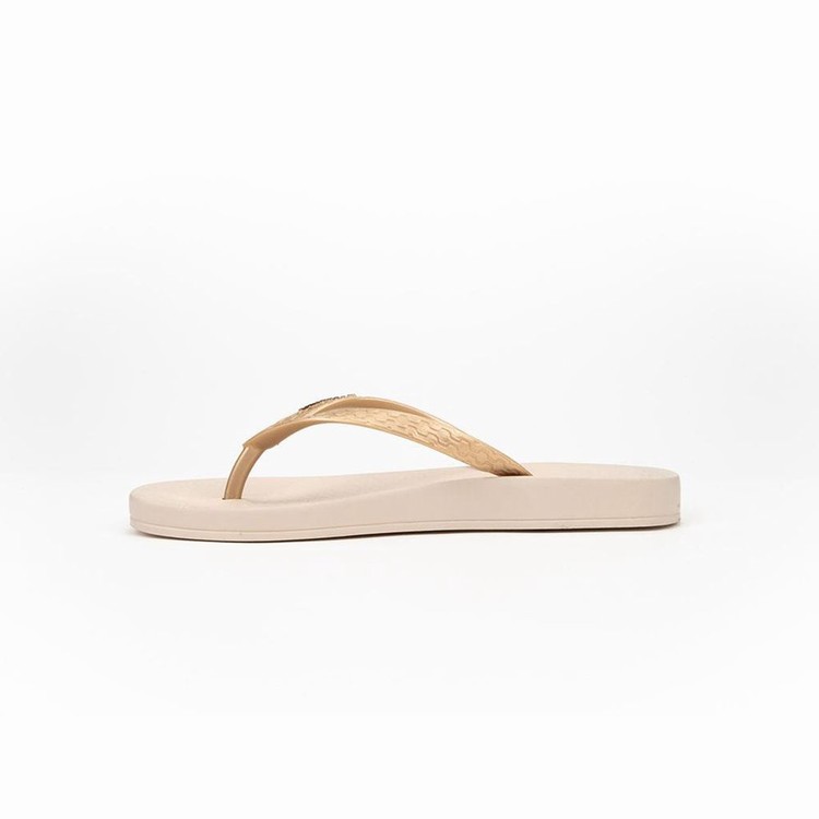 Tongs Ipanema Anatomic Tan Beige Doré Femme | GVY-3621875