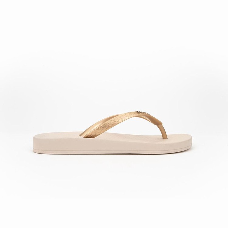 Tongs Ipanema Anatomic Tan Beige Doré Femme | GVY-3621875