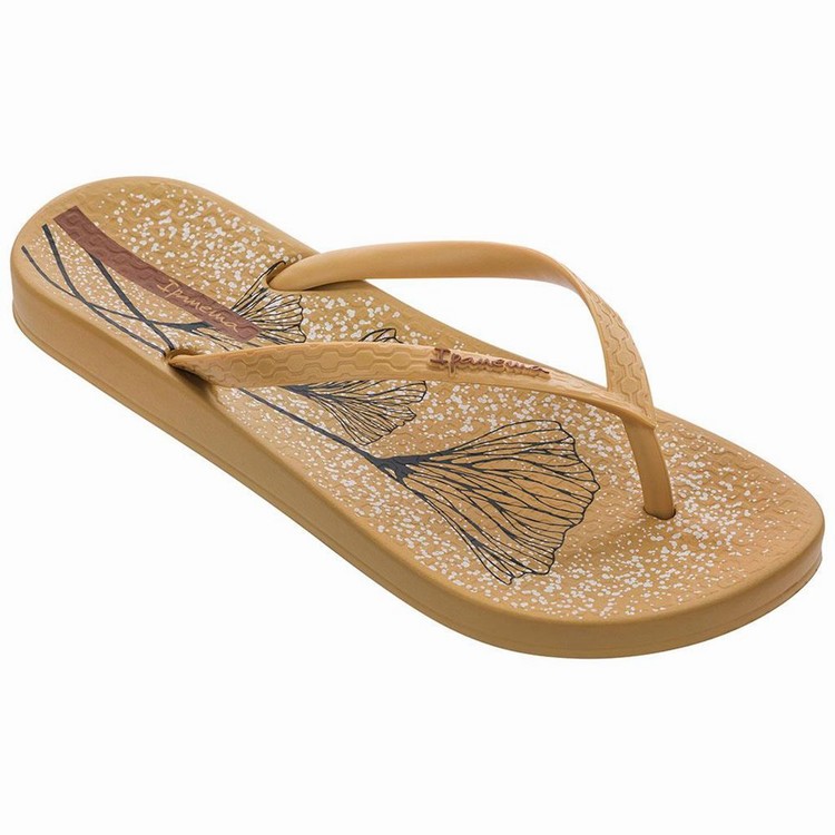 Tongs Ipanema Anatomic Temas XI Kaki Femme | QZV-5265260