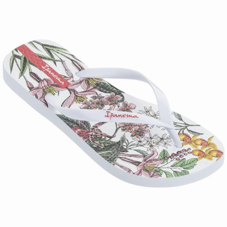 Tongs Ipanema Botanicals Blanche Femme | QFN-8968591