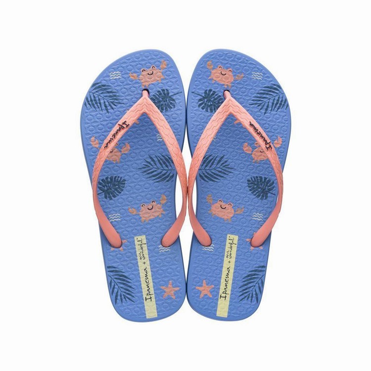 Tongs Ipanema Mr. Wonderful II Bleu Rose Femme | KWX-0399511