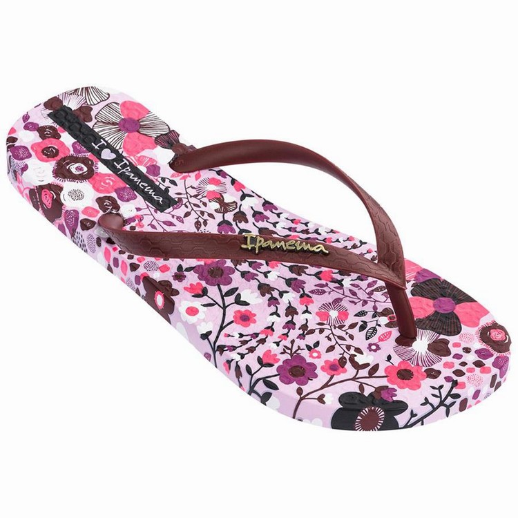 Tongs Ipanema Pop Violette Bordeaux Femme | EVZ-4629477