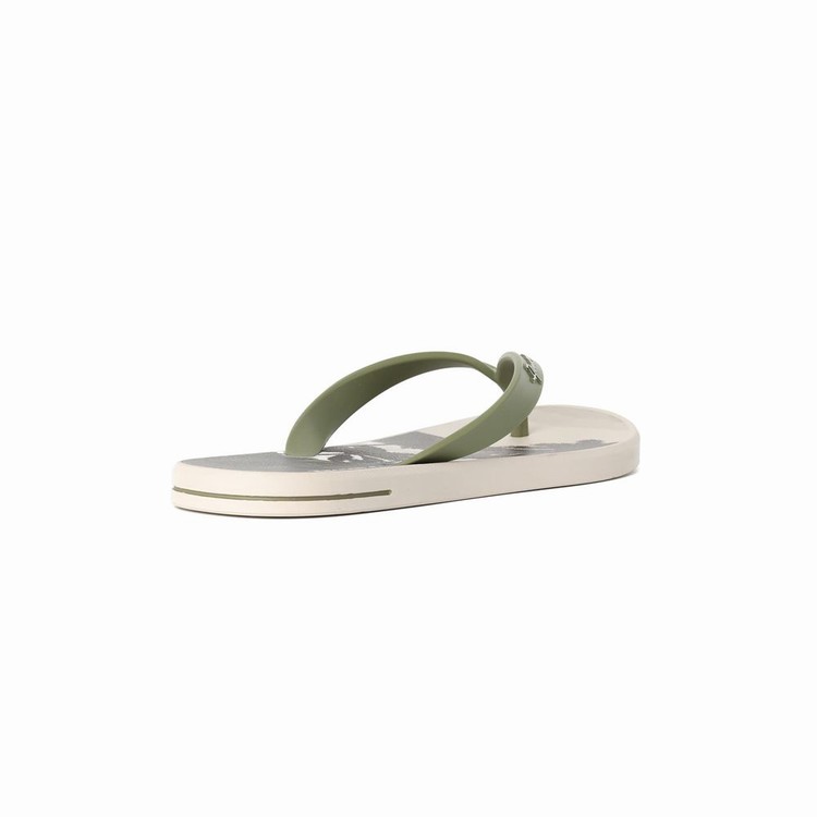 Tongs Ipanema 10 Palm Beige Vert Homme | NCH-8791326