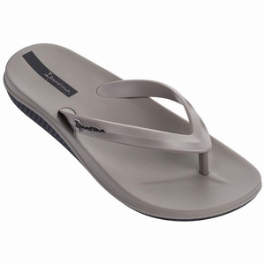 Tongs Ipanema Ana Lapa Grise Noir Homme | DUZ-8540867