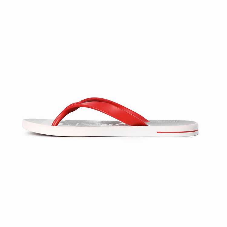 Tongs Ipanema 10 Palm Grise Rouge Homme | EGT-1346624