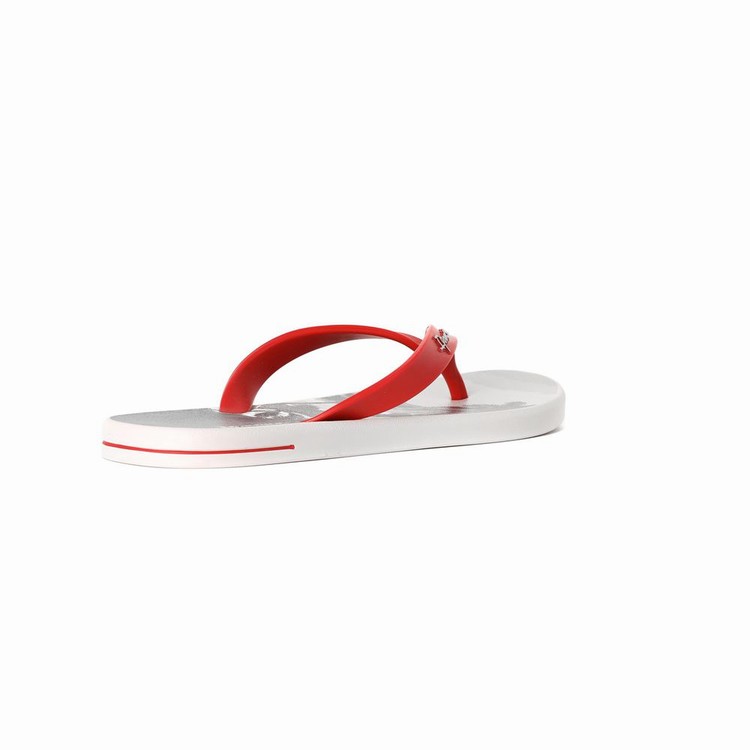 Tongs Ipanema 10 Palm Grise Rouge Homme | EGT-1346624