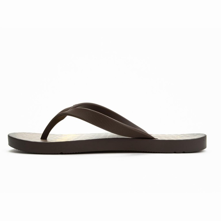 Tongs Ipanema Arpo Wave Marron Homme | OTM-4375002