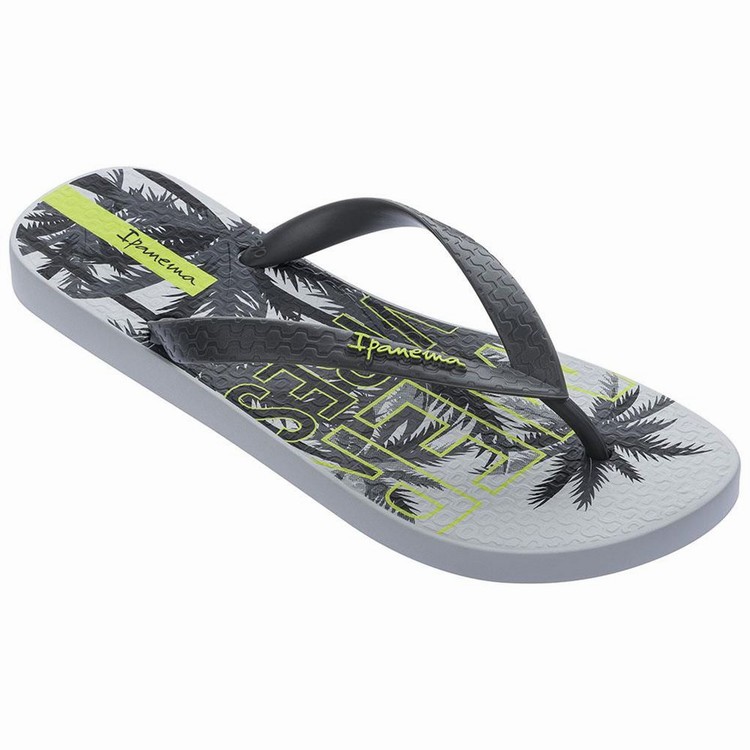 Tongs Ipanema Summer Grise Noir Homme | JZQ-7849327