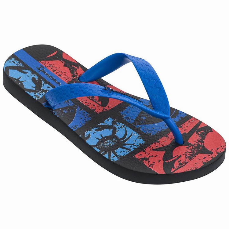 Tongs Ipanema Temas XIII Noir Bleu Enfant | ONB-2814369