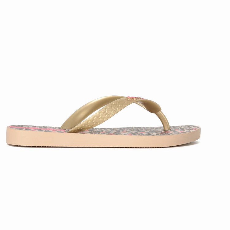 Tongs Ipanema Tropics Beige Doré Noir Enfant | QPY-3337502