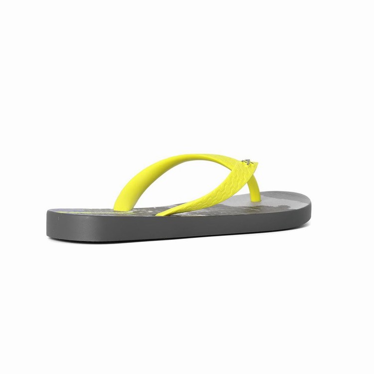 Tongs Ipanema Tropics Grise Jaune Enfant | XYP-9242724