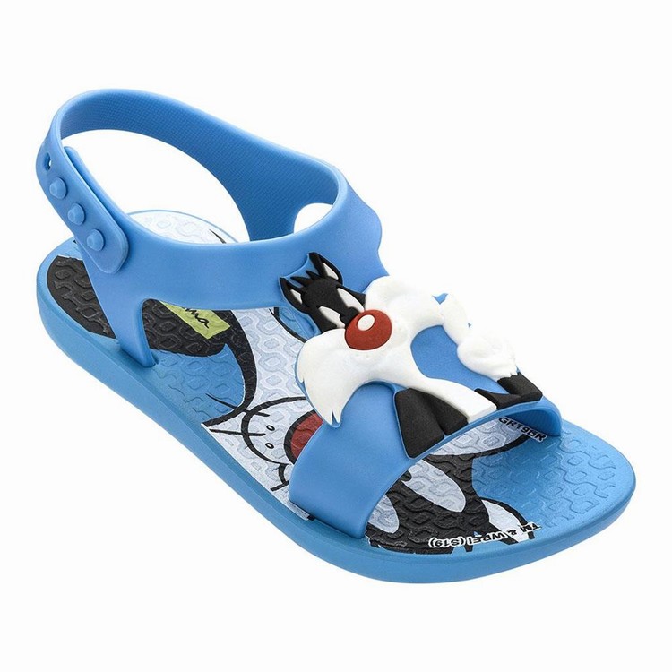 Sandales Ipanema Looney Tunes Bleu Bebe | DIW-3519757