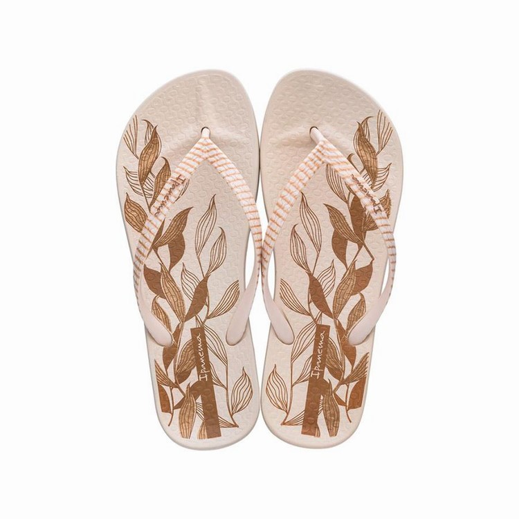 Tongs Ipanema Ana Nature IV Beige Doré Femme | XTM-9383196