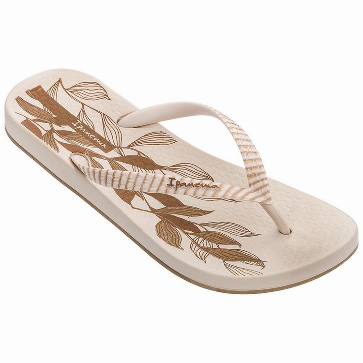 Tongs Ipanema Anatomic Nature IV Beige Femme | MEV-4834309