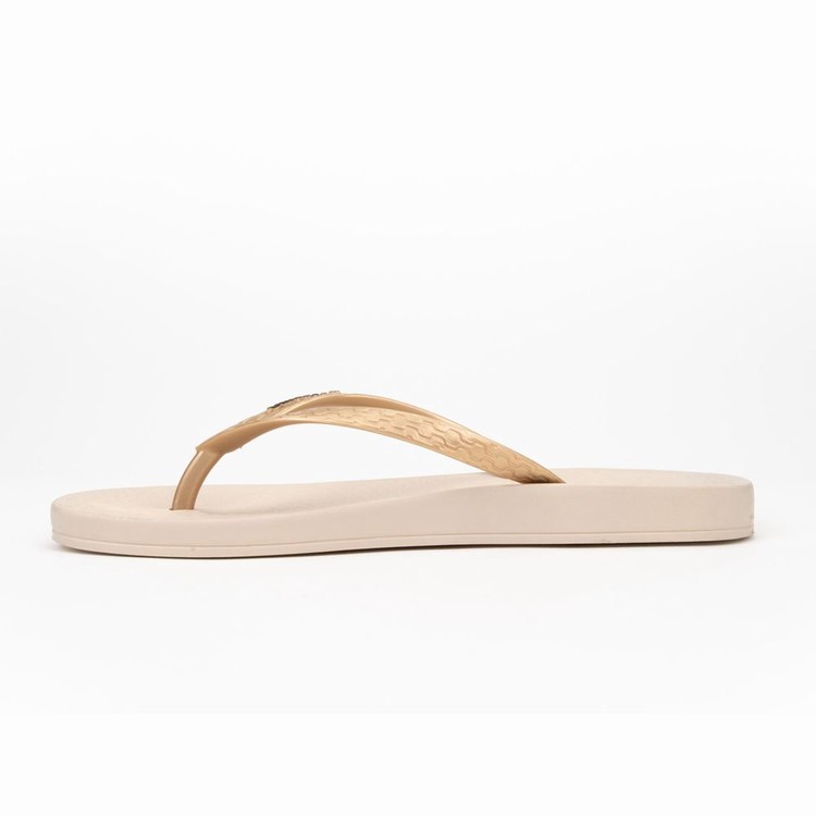 Tongs Ipanema Ana Tan Beige Doré Femme | HER-0946069